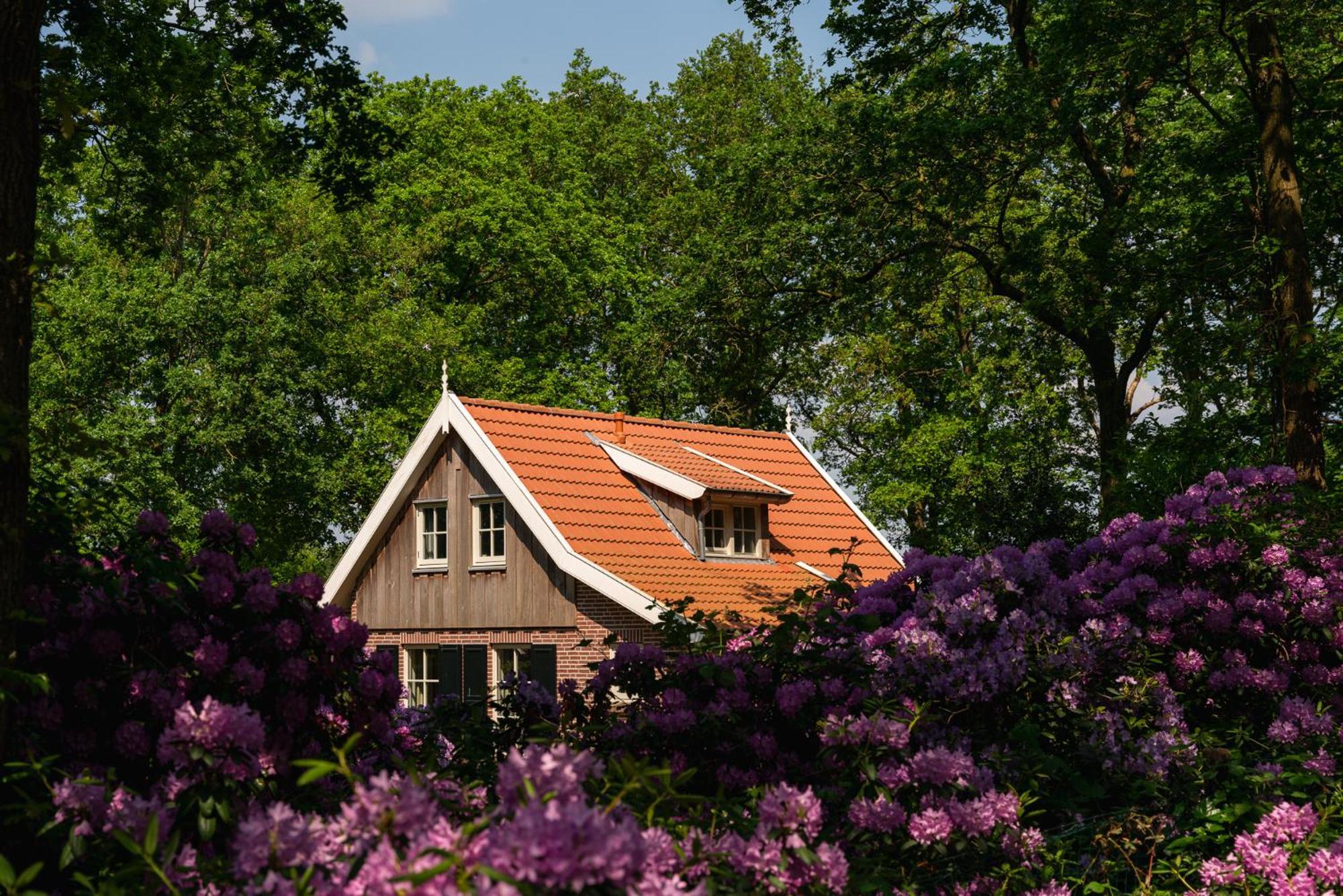 Villa De Bosuil Hoge-Hexel Exterior foto